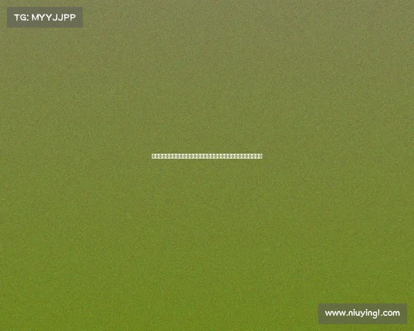 网球比赛全攻略：从赛制规则到观赛技巧，让你轻松享受每一场精彩对决